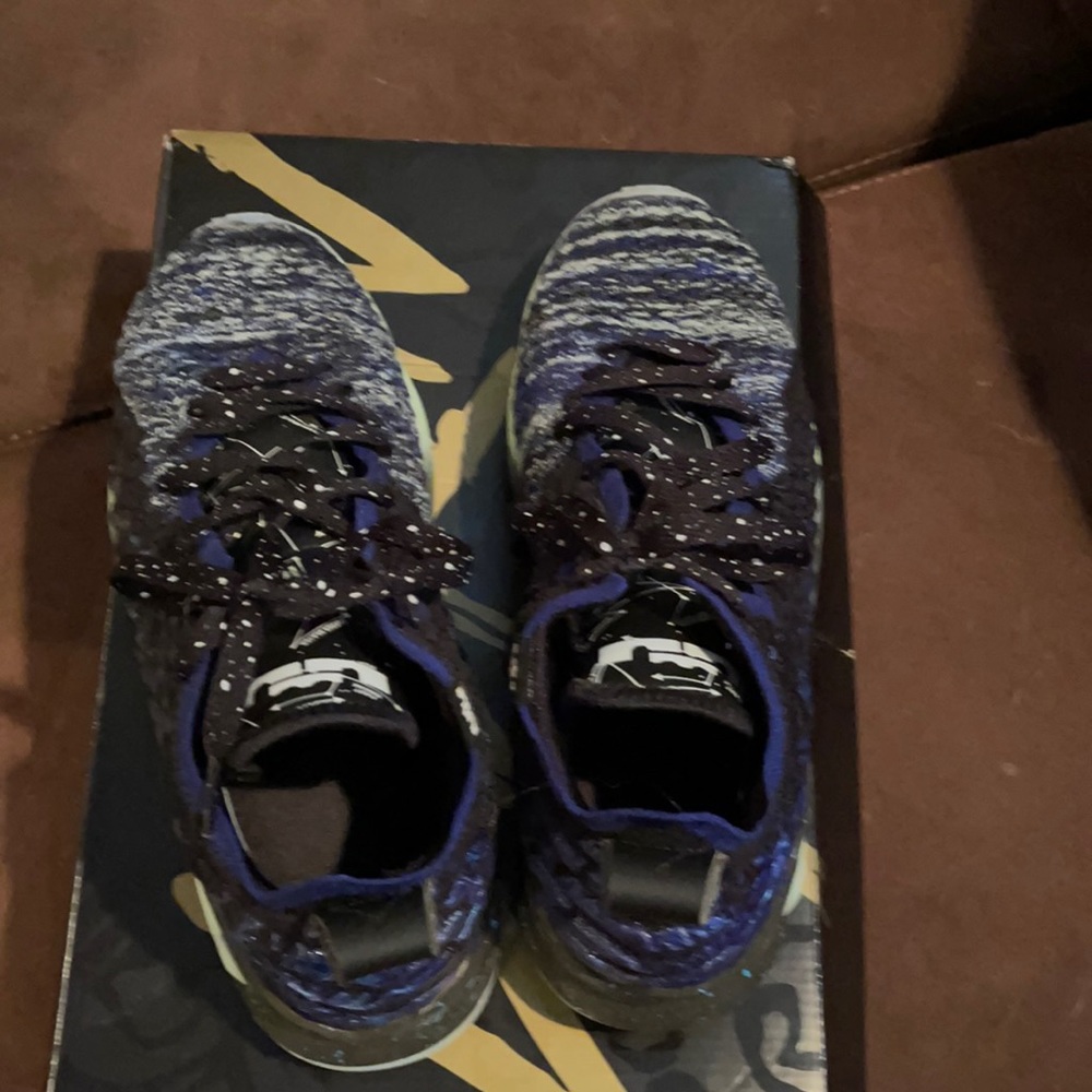 Unisex Lebrons XVII
